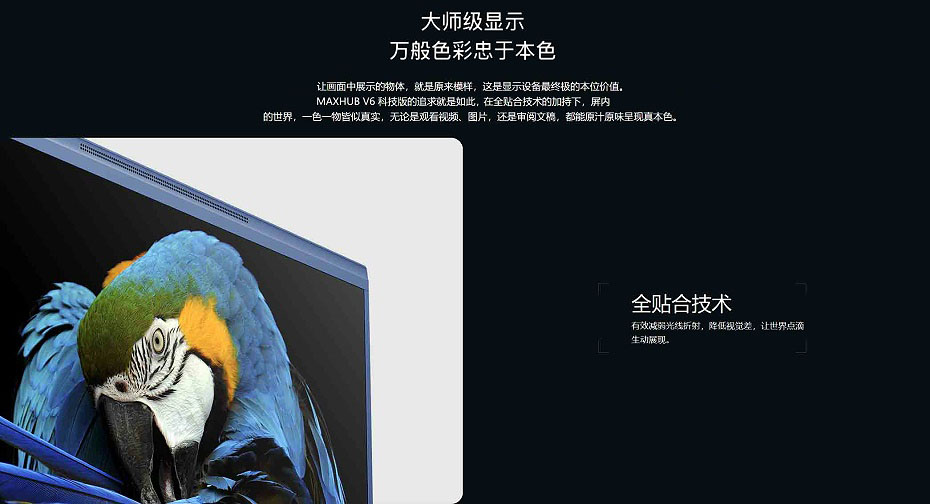 MAXHUB V6科技版香蕉视频污黄下载